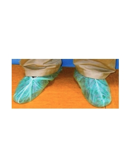 Sur chaussures