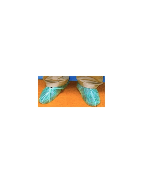 Sur chaussures